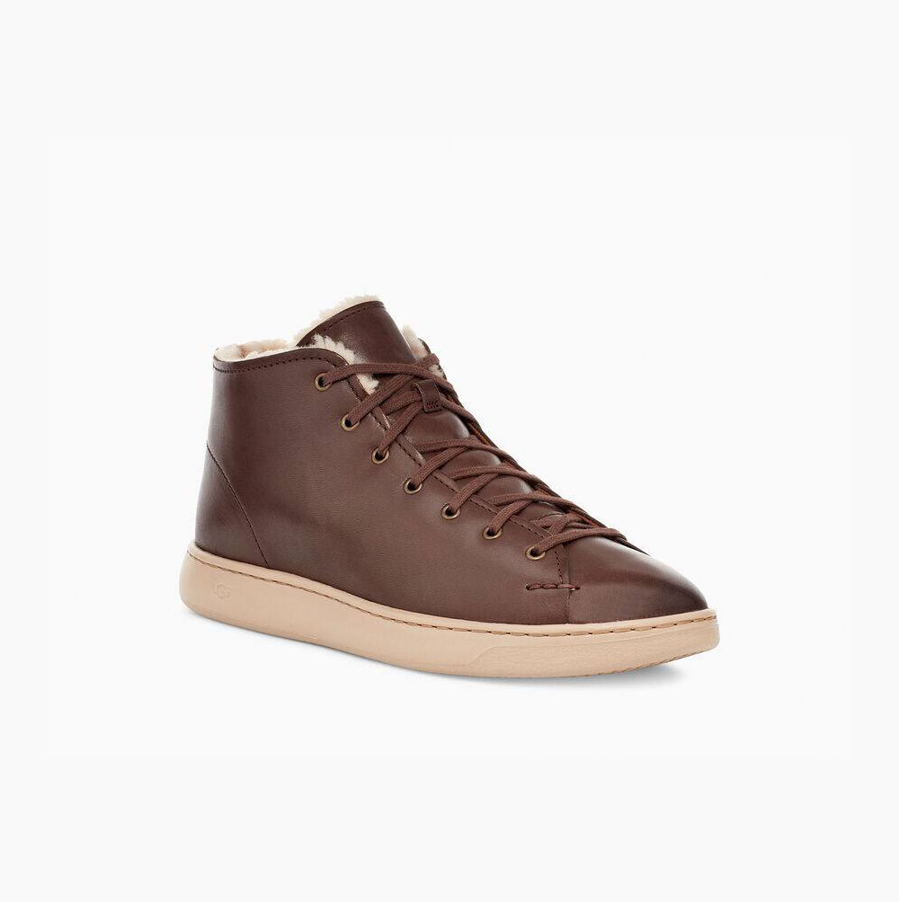 UGG Pismo High Cozy Brown Sneakers for Men (YPAL72513)